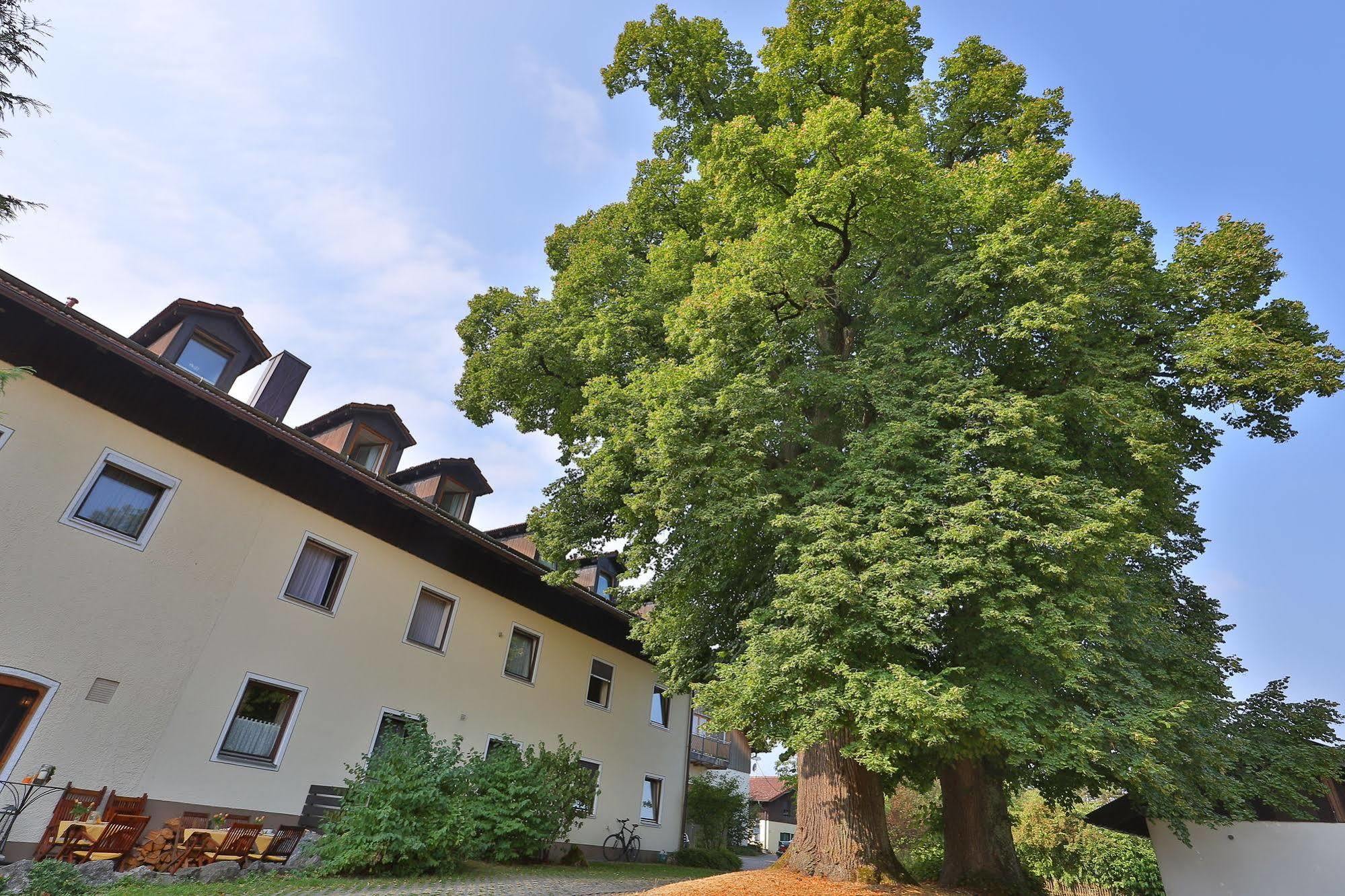 Hotel Bockmaier Oberpframmern Luaran gambar